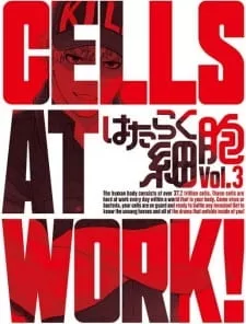 Hataraku Saibou Specials - Anizm.TV